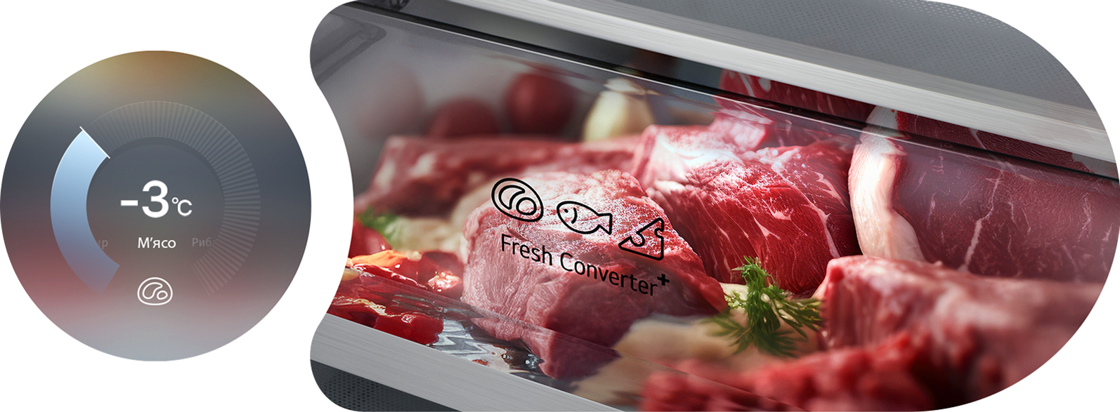 FRESHConverter